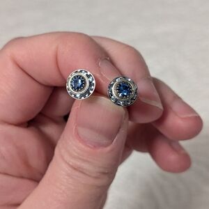 NWOT Blue Sparkle Fashion Earrings